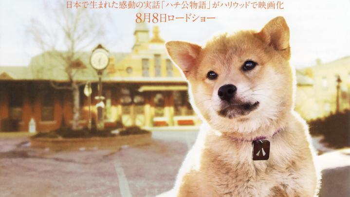 现实中日本历史上忠犬八公的故事